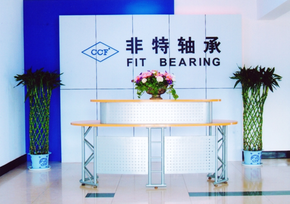 Zhejiang Fit Bearing Co.,Ltd.